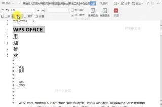 在文档大纲视图中如何下移所选项目?结果检查