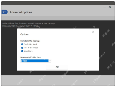 PrivaZer Windows 桌面版确认指定打印缓存目录清理范围