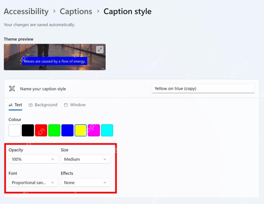 Win11 Caption style 页面在 Text 中调整 Size 文字大小