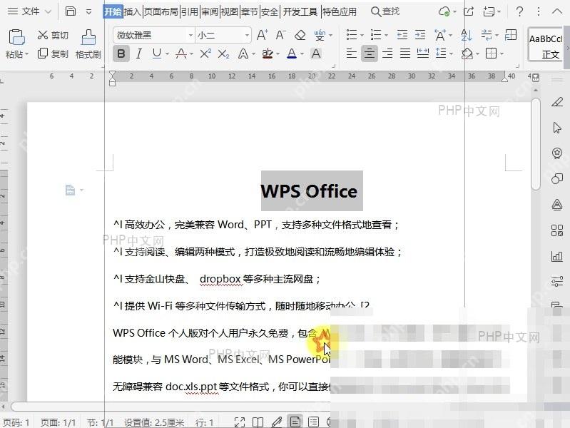 Word如何设置双删除线?入口位置