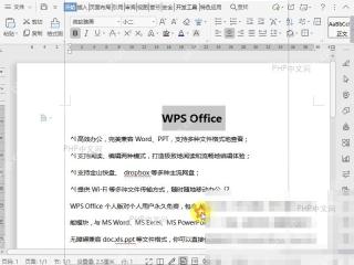 Word如何设置双删除线?入口位置