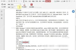PDF如何设置PDF文档中的批注字号?设置效果