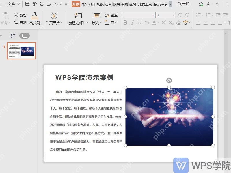 WPS演示中选中动态背景图片素材的界面