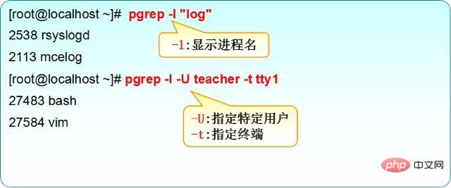 리눅스 프로세스를 확인하는 방법