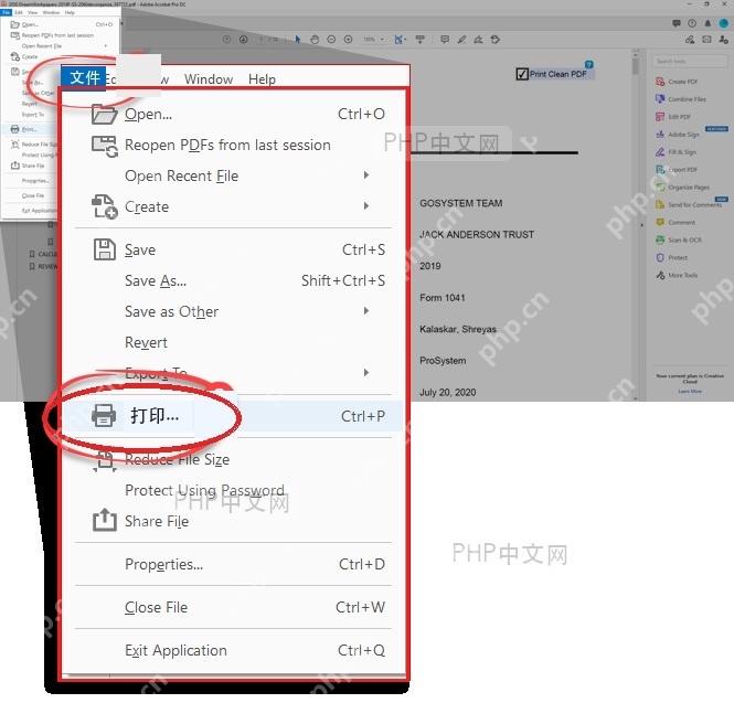 Adobe Acrobat 文件菜单中选择打印入口的步骤界面