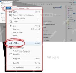 Adobe Acrobat 文件菜单中选择打印入口的步骤界面