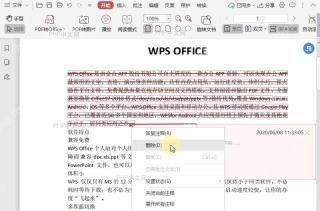 PDF如何删除PDF文档中的替换符?中间操作
