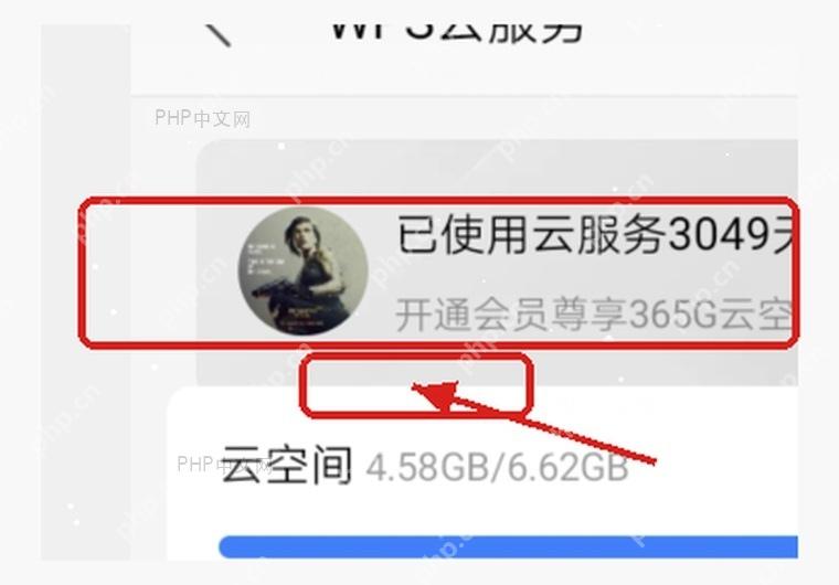 WPS云服务页面中的云空间容量和管理云空间入口