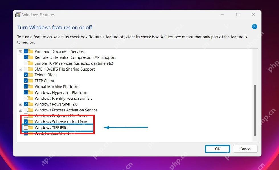 Win11 Windows 功能中勾选 Windows TIFF IFilter