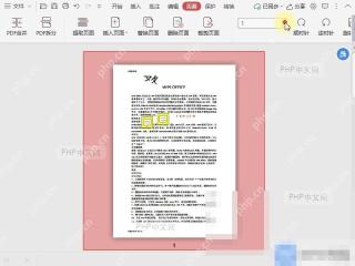 PDF如何快速选择PDF文档中的横向页面?入口位置