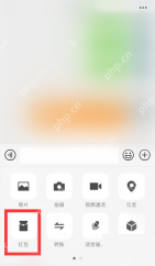 微信手机界面：点击聊天功能面板中的红包