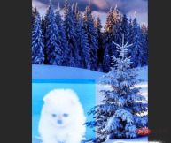daaa1fc9c044050542c0592c67be646.png