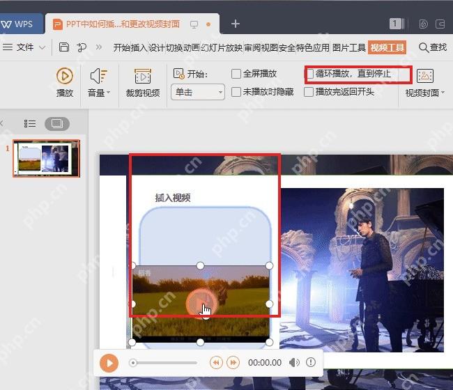 WPS演示中拖动视频控制点调整视频背景大小