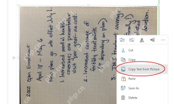 OneNote 图片右键菜单中 Copy Text from Picture 选项