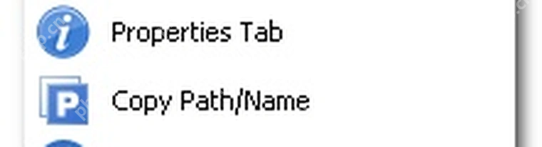 XYplorer 工具栏可选项中的 Copy Path/Name。