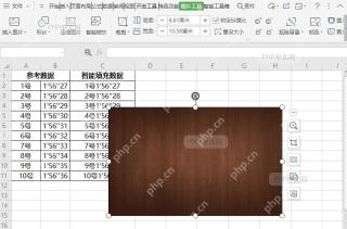 表格如何插入图片?结果检查