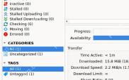 qBittorrent 左侧 Categories 分类区域用于筛选任务