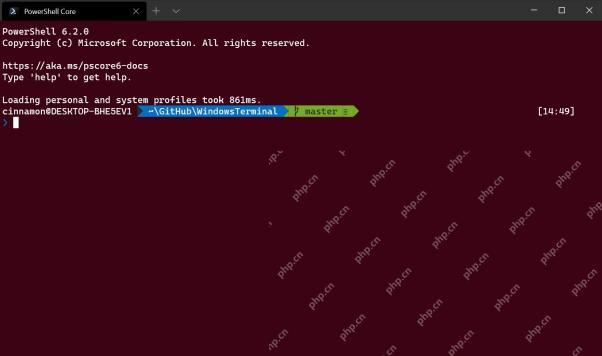 PowerShell 自定义配置生效后显示个性化提示符和环境信息