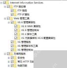 Win10 展开 IIS 子功能树