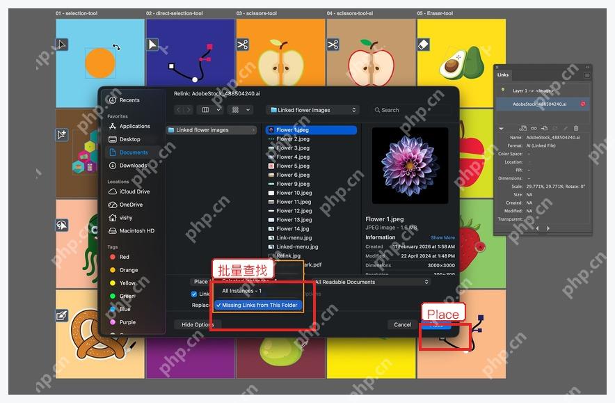 Illustrator Relink 文件窗口中选择 Missing Links from This Folder