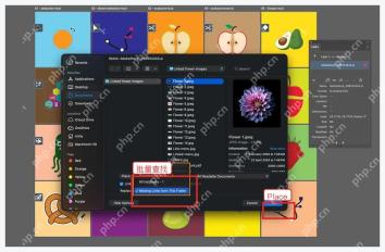 Illustrator Relink 文件窗口中选择 Missing Links from This Folder