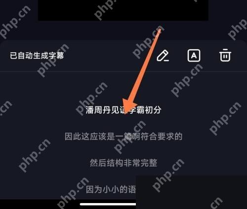 抖音自动生成字幕后的字幕编辑页面