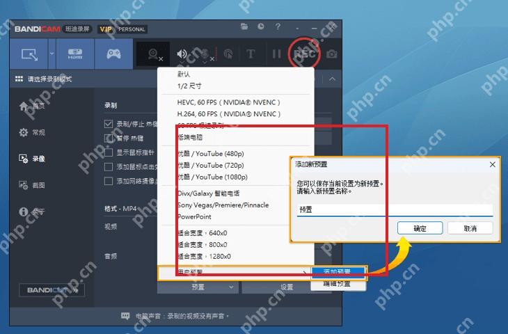 Bandicam 格式设置窗口展开视频编码器下拉框