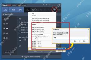Bandicam 格式设置窗口展开视频编码器下拉框