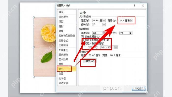 PowerPoint 设置图片格式面板中的锁定纵横比选项,用于避免图片变形