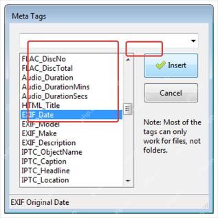 ReNamer Meta Tags 窗口列出 FLAC、Audio 等元数据字段并提供 Insert 按钮。