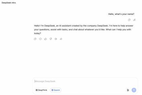 DeepSeek网页版首次对话结果