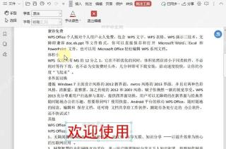 如何设置PDF文档中的批注字号?结果检查
