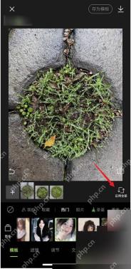 醒图批量编辑界面应用全部按钮