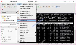 Xshell 新界面会话标签和终端区域