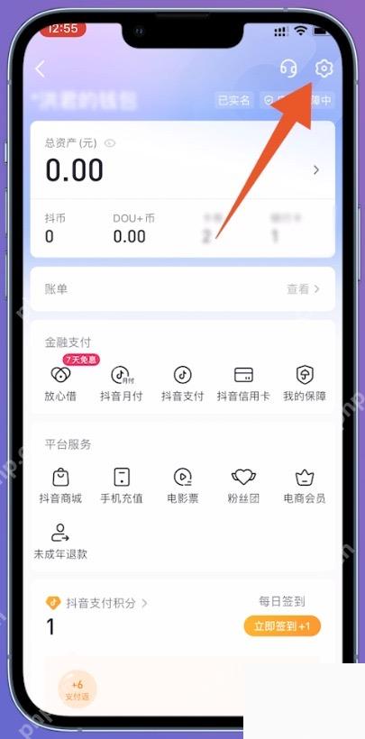 抖音钱包页面右上角设置按钮