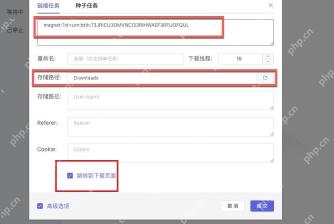 Motrix Windows 新建任务窗口红框标出高级选项入口