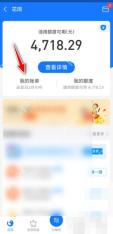 支付宝中文界面：我的账单，对应步骤：进入花呗页后，点“我的账单”。只有进到账单层，后面才会出现提前还款相关入口。