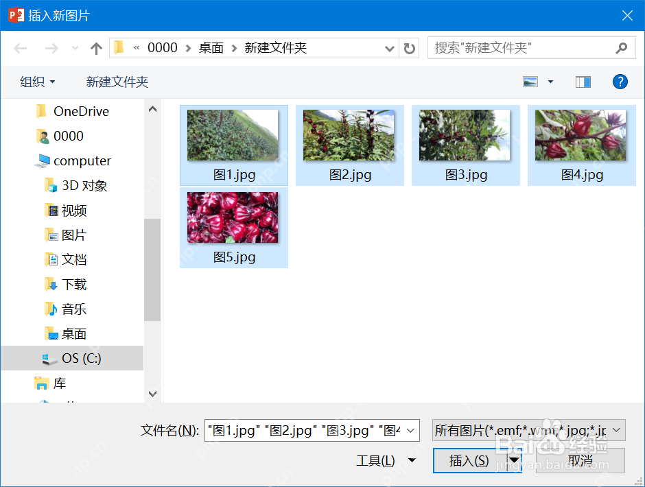 在文件夹中一次选择多张图片导入PPT