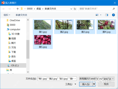 在文件夹中一次选择多张图片导入PPT