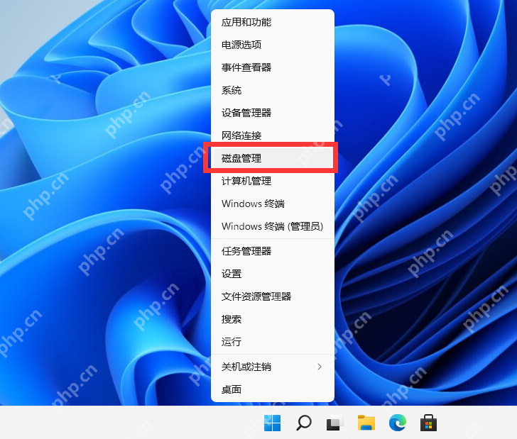 Win11 磁盘管理中的现有分区列表