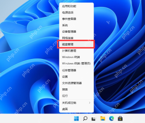 Win11 磁盘管理中的现有分区列表