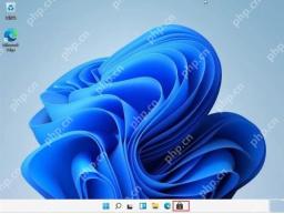 Windows 11 桌面和任务栏状态用于观察壁纸与任务栏效果
