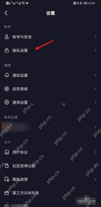 抖音设置页面中的隐私设置入口