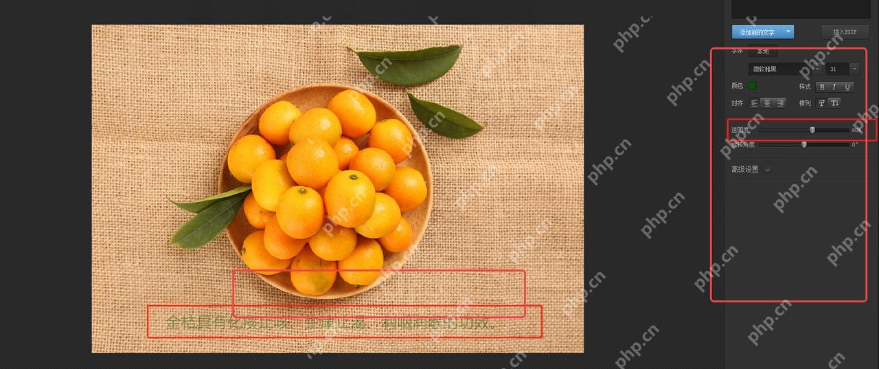 右侧文字样式设置和图片中的文字效果