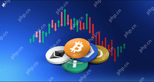 虚拟币交易软件app-虚拟币交易软件app官方最新版 - php中文网