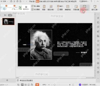 WPS演示设计页签右上区域的幻灯片大小按钮，用于打开尺寸设置入口