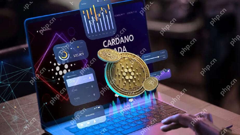 一个比特币要挖多久 - php中文网