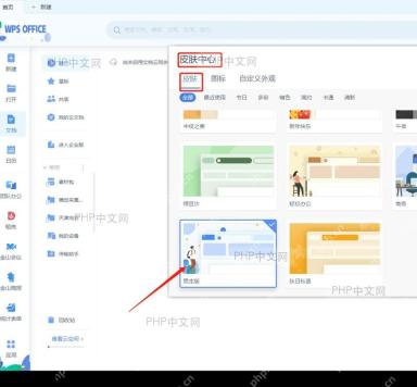 WPS 皮肤中心里的皮肤标签和主题缩略图,服务于选择新皮肤这一步