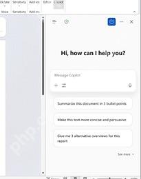 Word Copilot Chat 中输入总结提示