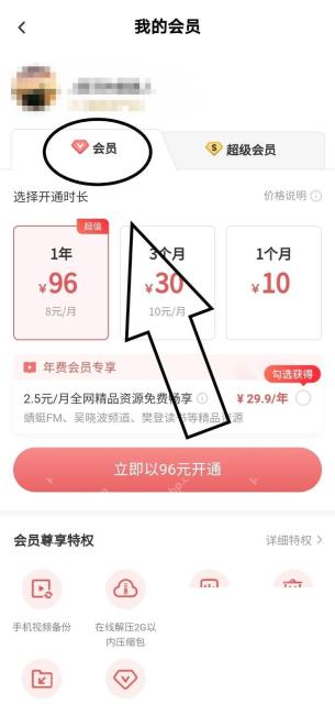 百度网盘 App 我的会员页权益区域